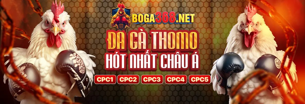 Tỷ lệ cược cạnh tranh và thanh toán nhanh chóng